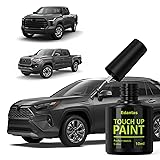 Edantas 1G3 Magnetic Gray Metallic Touch Up Paint