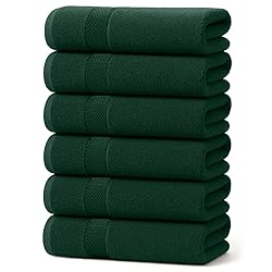 DAN RIVER 6-Pack Premium Hand Towels