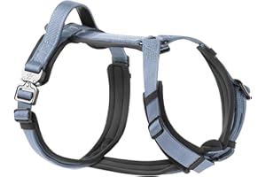 PAWS PASSION PawsPassion Dog Harness for Large Dogs, No Pull Dog Harness Easy Walk with Metal Hardware, Ergonomic Y-Shaped Design, Soft Padding, Padded Handle, Durable High-Tensile Nylon (Horizon, L)