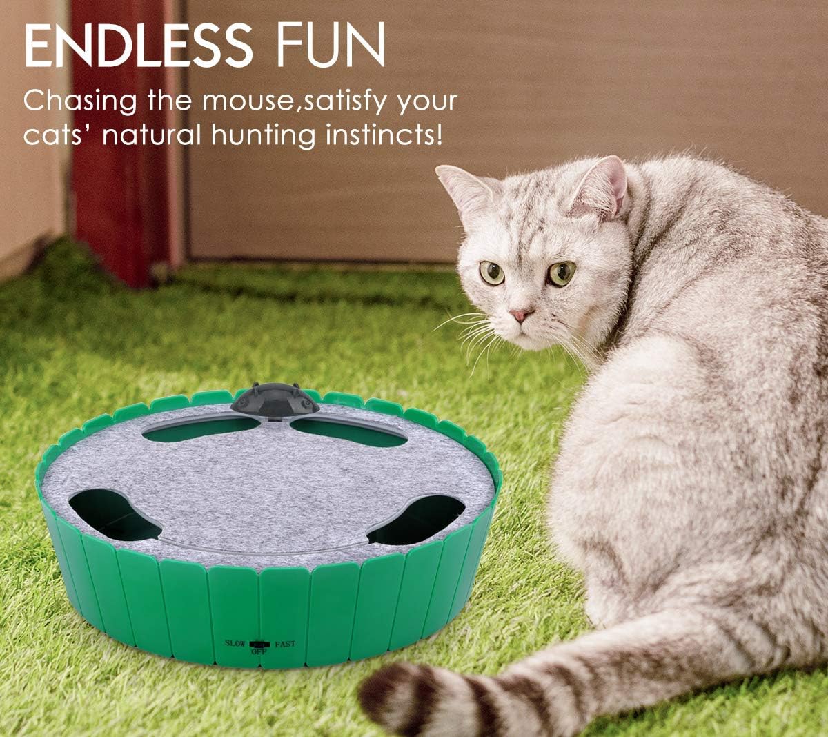 mouse hunt cat toy amazon