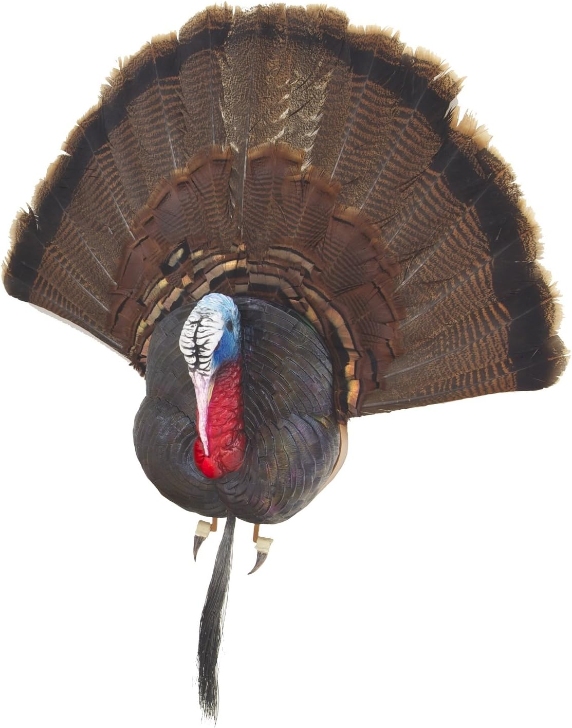 Cherokee Sports Turkey Taxidermy Bust Decoy Hunting And