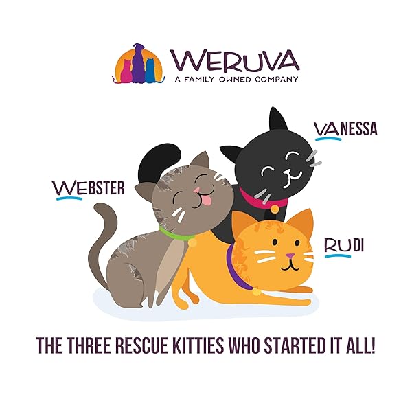 WERUVA CATS IN THE KITCHEN, KITCHEN CUTIES VARIETY PACK, WET CAT FOOD, 10OZ CANS (PACK OF 12)