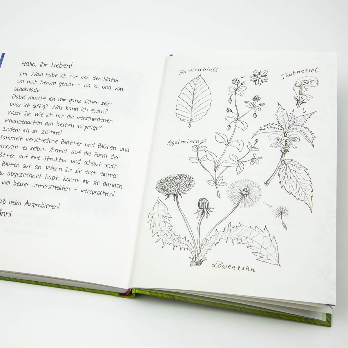 Ausmalbilder Wildpferde Herde