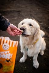 Laughing Dog Chewy Boosts 125g Chicken Ginger Dog Treats Training view 3