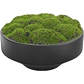 NAHARO New Moss Bowl, Handmade Ceramic. 11" Artificial Moss Bowl Centerpiece for Home Decoration, Living Room, Office