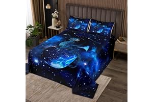 FEELYOU Galaxy Dragon Coverlet Set Kids Chic Outer Space Starry Sky Bedspread Jungle Animals Dragon Quilted Coverlet for Boys Children Teens Bedroom Decor Blue Black Quilted Twin Size With 1 Pillow Case