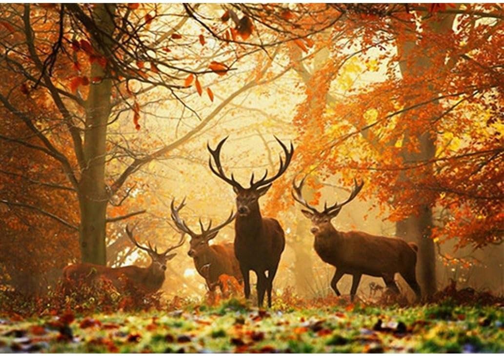 Vacally 5D DIY Diamond Painting ，Diamond Painting By Number Kits for Adults Full Square Drill Rhinestone Embroidery for Wall Decoration,Deer in The Forest