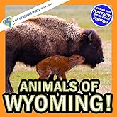 Animals of Wyoming!: A My Incredible World Picture Book for Children (My Incredible World: Nature and Animal Picture Books for Children)
