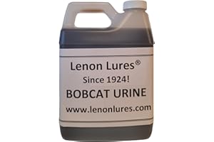 Lenon Lures Bobcat Urine