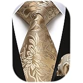 HISDERN Ties for Men Paisley Floral Tie Handkerchief Classic Woven Business Formal Necktie and Pocket Square Set Wedding