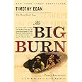 The Big Burn: Teddy Roosevelt and the Fire that Saved America