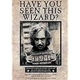 MIGHTYPRINT Harry Potter - Sirius Black - Wanted Wizard - Azkaban Prison - Mug Shot – Durable 17” x 24 Wall Art – NOT Made of Paper – Officially Licensed Collectible