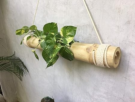 RARE PRODUCTS OOTY Hand Made Hanging Bamboo Pot with Adjustable Rope and Wood Polish Finished Surface and Car Covers Non-Woven (Steering and Gear Knob)