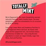 Peppersmith Fruity Pack Strawberry Pastilles & Lemon Mints 12 x 15g Vegan view 7