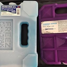 arctic ice tundra review