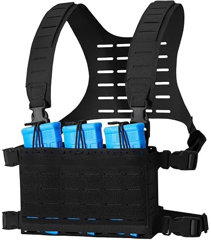Amazon.com: Bifrost Gear Valkyrie Low Profile MOLLE Platform
