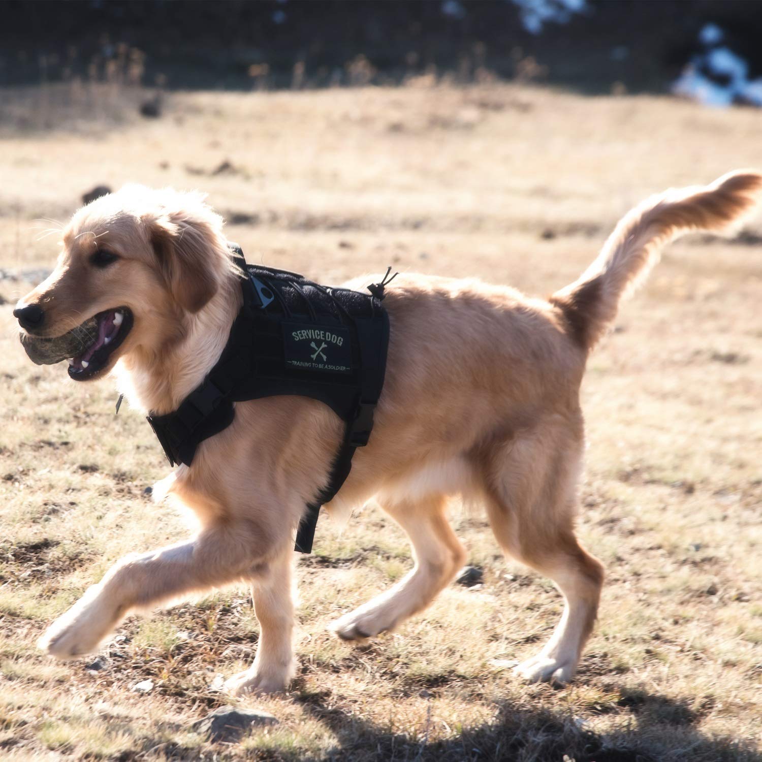 OneTigris Tactical Service Dog Vest – Water-Resistant Comfortable Military Patrol K9 Dog Harness with Handle