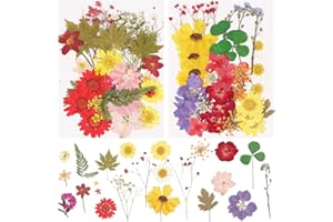 BEYONDAY 71PCS Natural Real Dried Flower Leaves Presses Flowers Herbs Kit for Bath Soap Making Candle Making and Resin Jewelry Making Art Floral Decors(Multicolor)