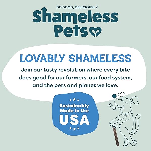 SHAMELESS PETS BLUEBERRY & MINT DENTAL CHEWS FOR DOGS, 32 CHEWS – NATURAL DOG TEETH CLEANING TREATS WITH FRESH BREATH BENEFITS | GRAIN-FREE DENTAL STICKS FOR SMALL, MEDIUM & LARGE DOGS