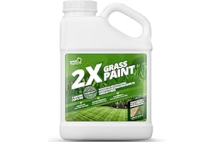 NOT ROCKET SCIENCES 2X Green Grass Paint for Lawn, Ideal Turf Paint for Grass & Green Lawn Paint to Renew Discolored Lawns, Concentrated Grass Spray Paint, Green Grass Lawn Spray for Vibrant, Green Lawns, 1 Gallon