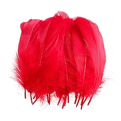 100PCS Natural Goose Feathers Decoration - Assorted