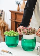 Josteve 6.5 Inch Self Watering Hanging Planter with Visible Water Level view 3