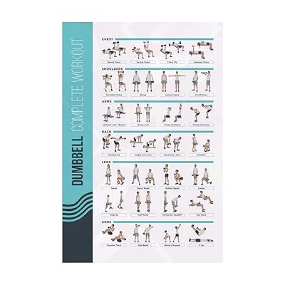 Buy Fitmate Dumbbell Workout Exercise Poster Workout Routine With Free Weights Home Gym Decor Room Guide Online In Indonesia B08dj948d6