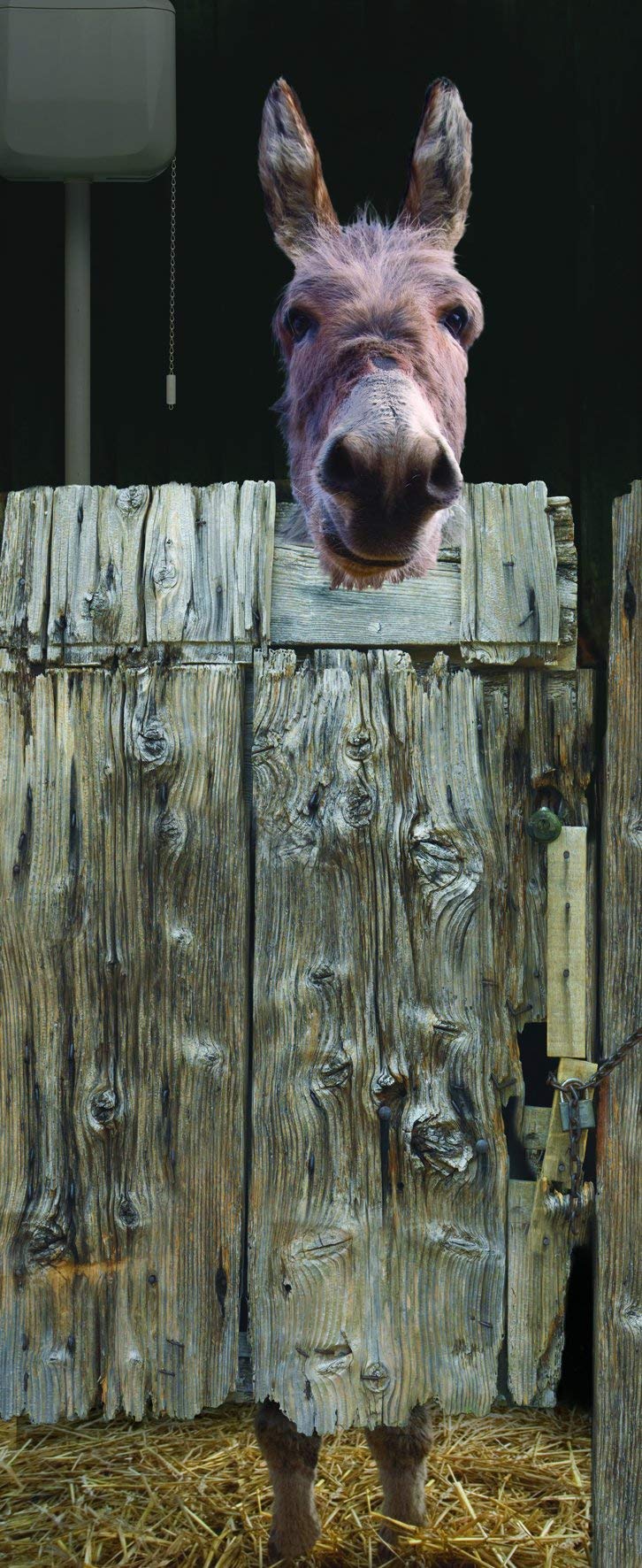 Plage 141005 Sticker ONDOOR, Adhesive for Door -WC, 204 x 83 cm