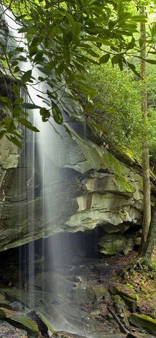 PeelitStickit, Beautiful Nature Wall Murals, ID-1349, vinyl, Multi-colour