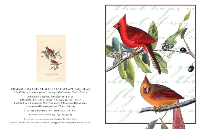 Audubon christmas cards 2022