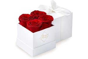 GLAMOUR BOUTIQUE Preserved Roses in a Box - Valentines Day Gifts for Her & Mom, 4 Roses Flowers Decor for Birthday Gift, Cased in A Square Gift Box with Lid, 4” x4” x5 - Red