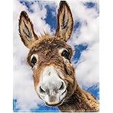 HommomH 50"x60" Donkey Blanket Animal Selfie Blankets Soft Warm Plush Fleece Throw for Couch Sofa Bed