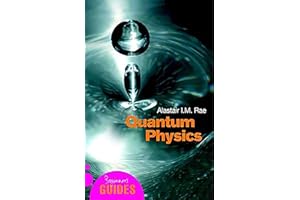 Quantum Physics: A Beginner's Guide (Beginner's Guides)