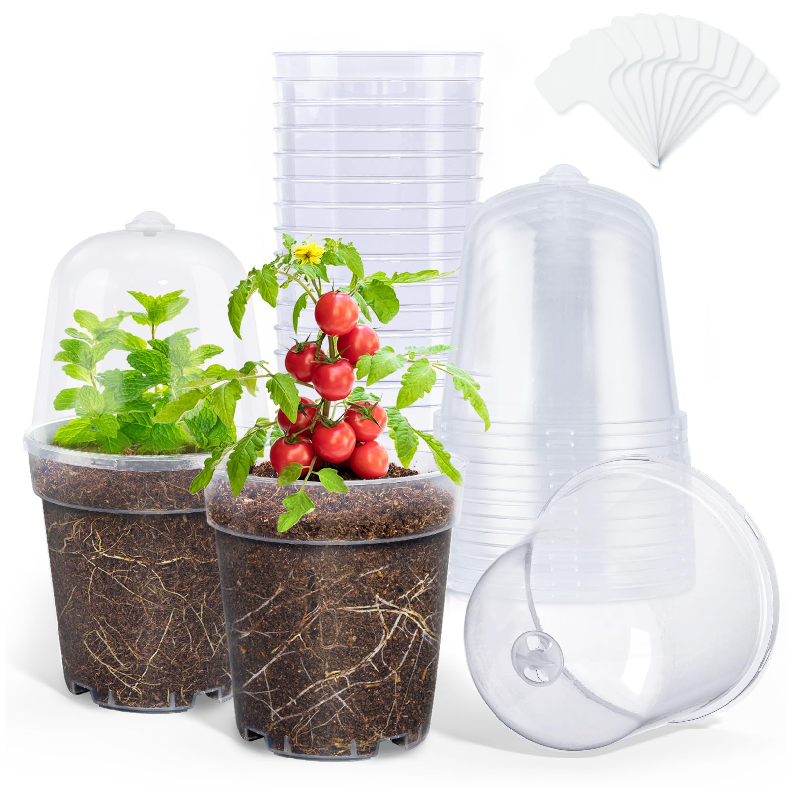 homenote Clear Nursery Pots for Plants,5 Inch Plant Pot for Planting ...