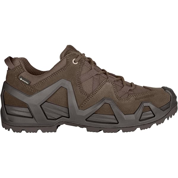 Amazon.com | Lowa Mens Zephyr GTX LO TF Leather Textile Black