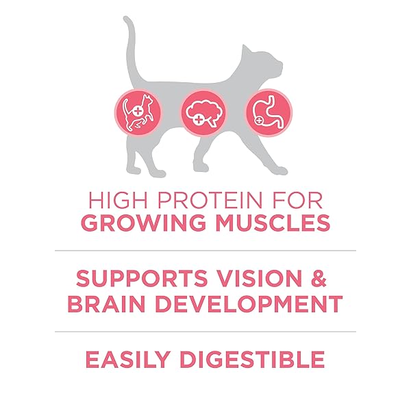 PURINA ONE HIGH PROTEIN, NATURAL DRY KITTEN FOOD, +PLUS HEALTHY KITTEN FORMULA – 7 LB. BAG