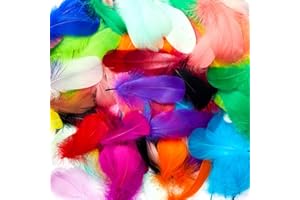 FLYING FEATHERS 800pcs Colorful Feathers 20 Colors Craft Feathers 3-5 Inches Assorted Rainbow for Kids Handmade Wedding DIY Decorations Natural Feather