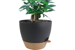 UOUZ 12 inch Large Self Watering Pots, Plastic Planters with 60oZ Removable Deep Reservoir and Multi Mesh Drainage Holes for Indoor Outdoor Garden Plants and Flowers, Black with Brown