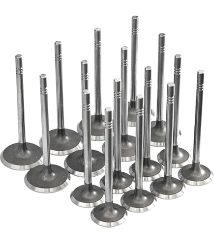 Amazon.com: DNJ VK24520 Exhaust Intake Valve Kit for 1999 to 2006
