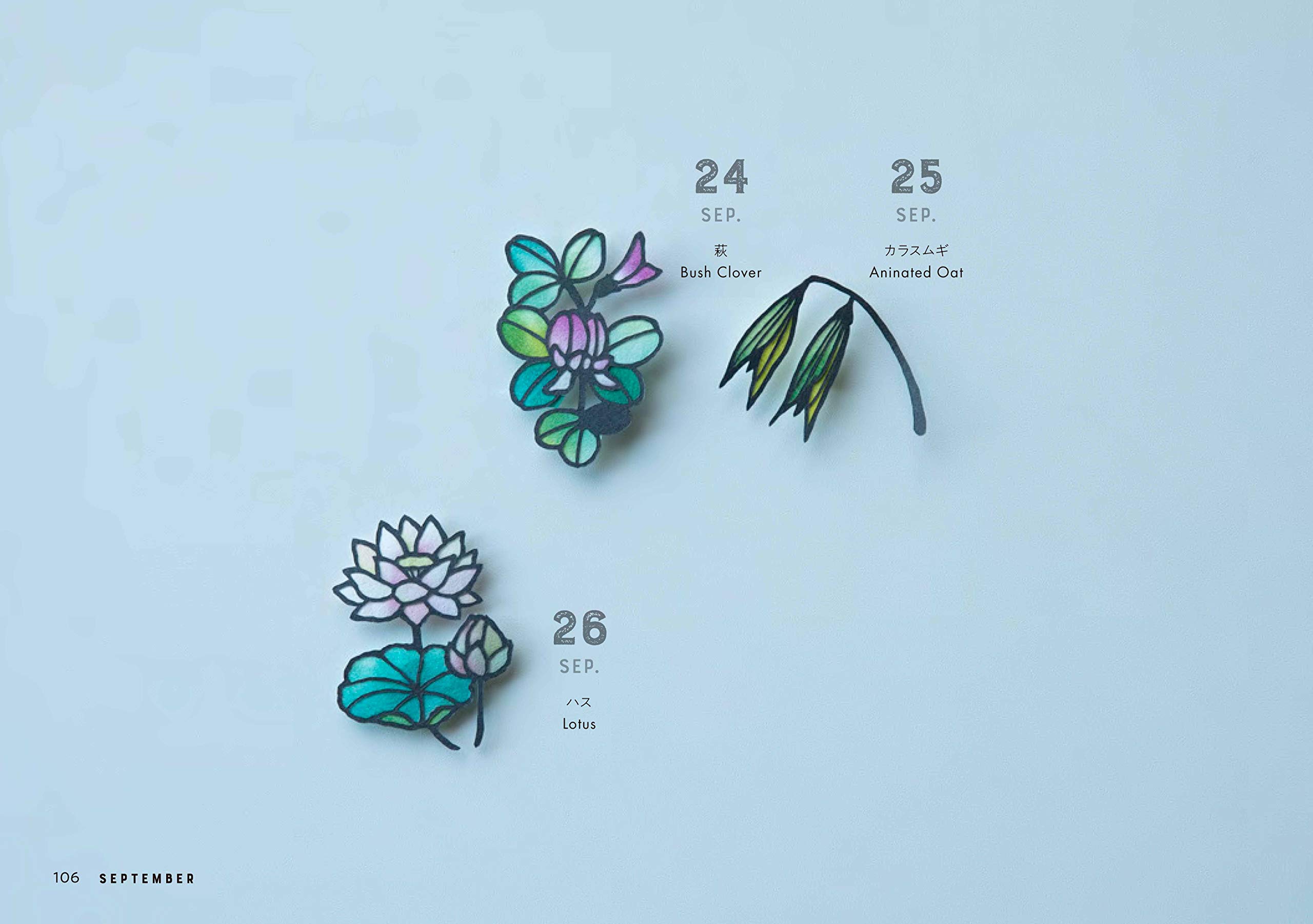 Amazon Fr 366日の花切り絵 Livres
