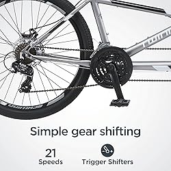 Schwinn Twinn Tandem Bike, 26 Inch Bike for Women