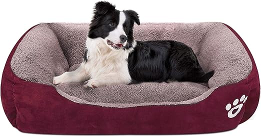 amazon xl dog bed