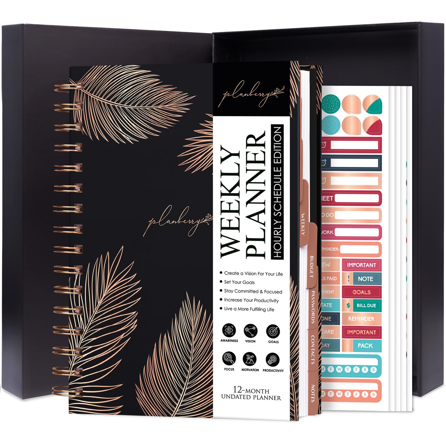 PLANBERRY Hourly Schedule Planner Premium – Undated Journal with Time Slots for Productivity & Budget Organizer, 17.5x21.6cm (Onyx Black)