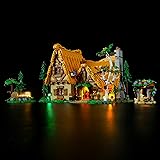 YEABRICKS LED Light for 43242 Disney Snow White and