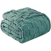 Exclusivo Mezcla Fleece Throw Blanket for Couch,Super Soft and Warm Lightweight Checkered Pattern Blankets for All Seasons,50x60 Inches, Celadon
