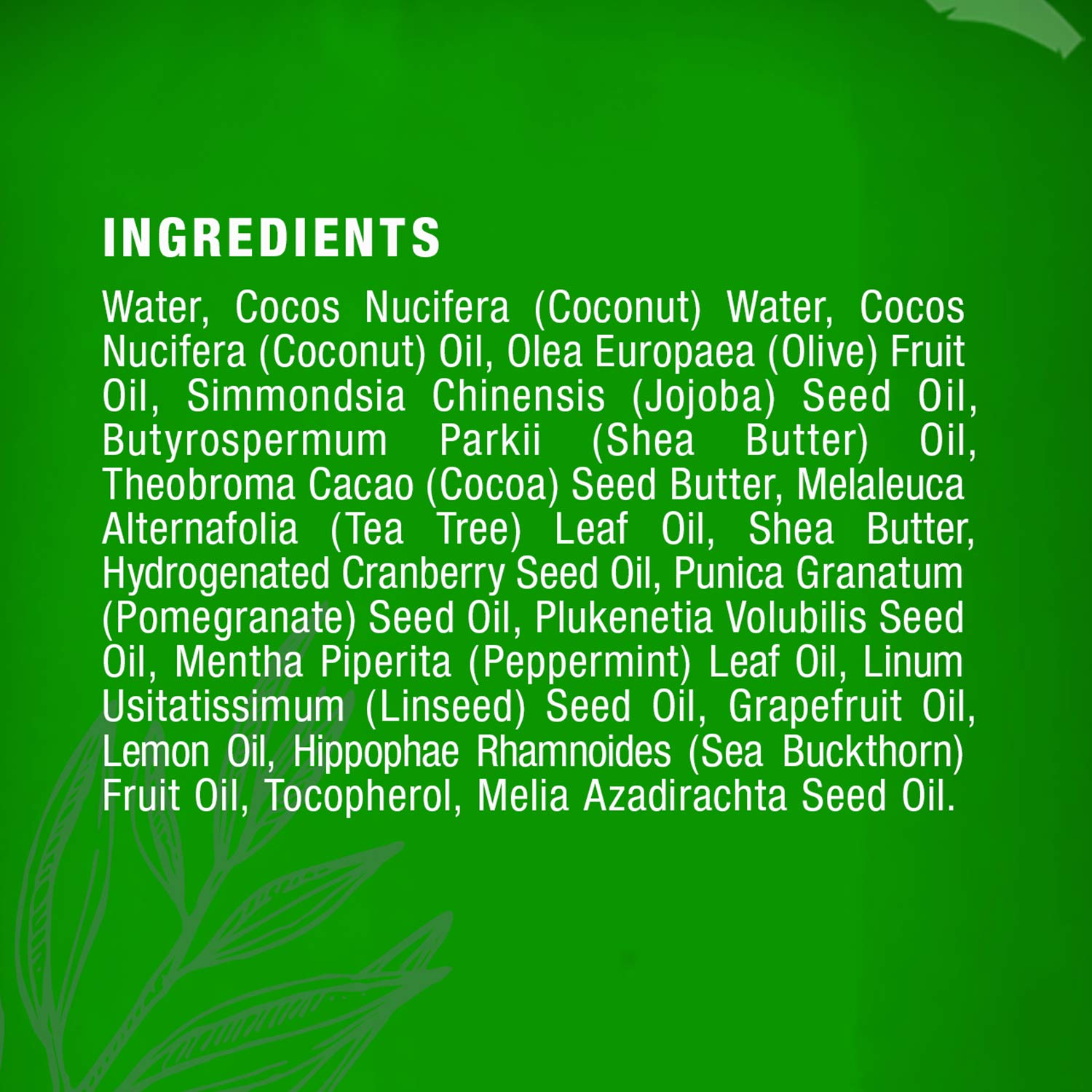 Majestic Pure Tea Tree Body Wash - Formulated to Combat Dry, Flaky Skin - Soothes, Nourishes and Moisturizes Irritated, Chapped, Problem Skin Areas - (Packaging may Vary) -16 fl. oz. : Beauty
