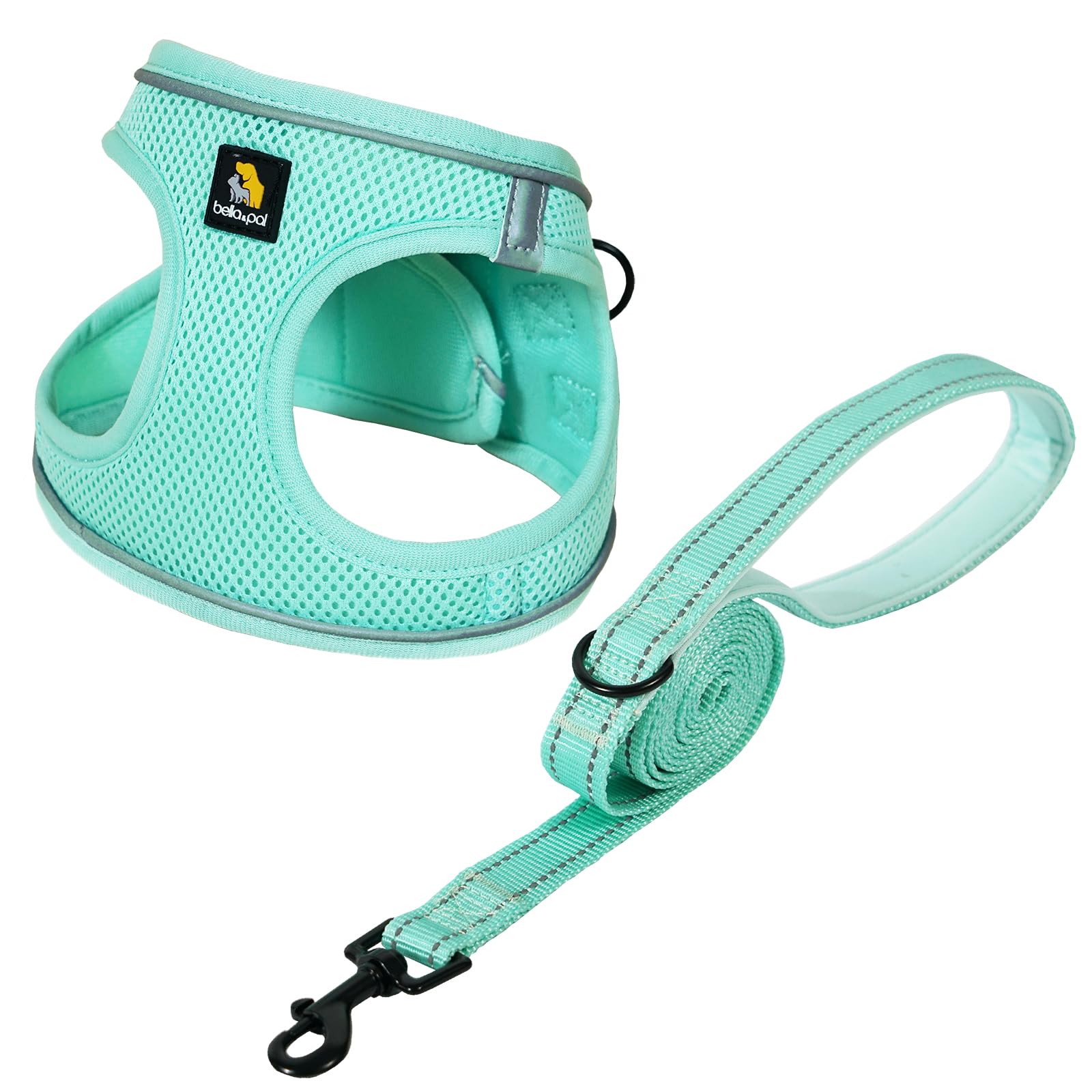 BELLA & PAL Dog Harness and Leash Set, Step-in Puppy Harness, Breathable Air Mesh with Reflective Strips, No Pull Vest for Puppies/Extra Small/Small Dogs, Mint, XS — image 1