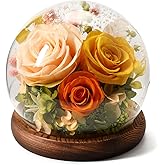 Valentines Day Flowers Gifts for Women,Forever Real Preserved Roses in Glass Dome,Valentines Roses Gifts for Her Wife Girlfriend Women Best Friend/Green