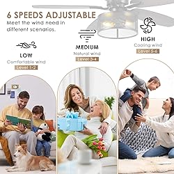 Farmhouse Ceiling Fan with Light and