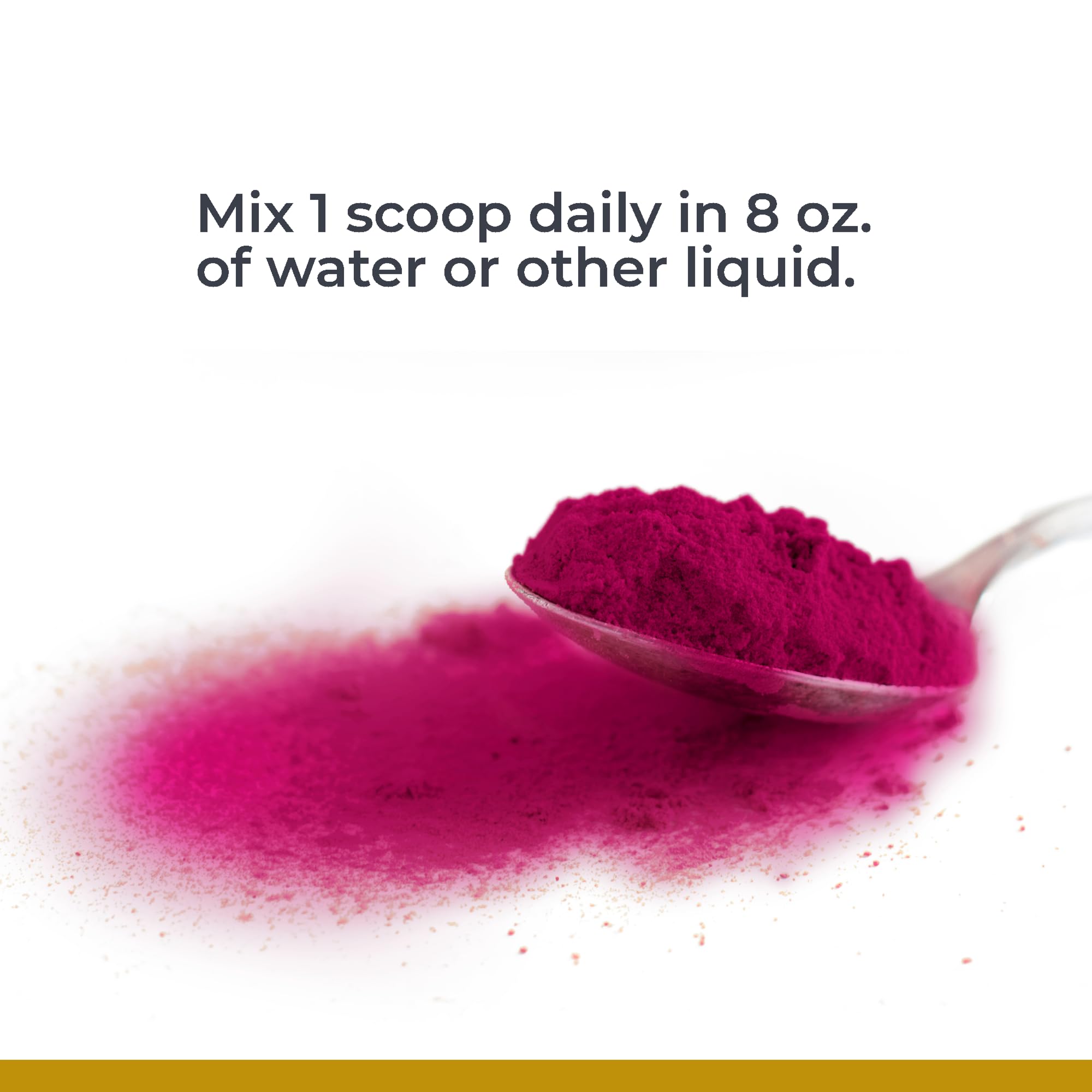 Premier Research Labs Premier Fermented Beets - Beet Root Powder Fermented, Organic Fermented Beets for Men & Women, Beetroot, Nitrates - 6.3 Oz Jar